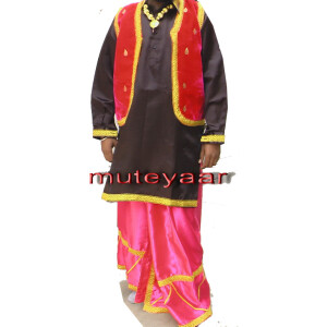 Bhangra dance Costume / outfit dress- ready to wear