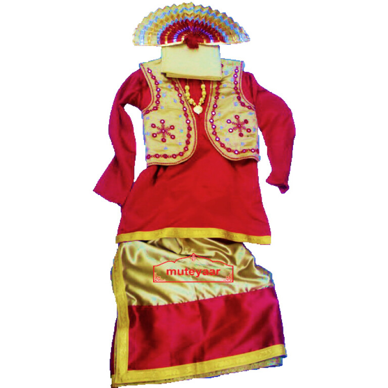 Bhangra dance Costume / outfit dress- ready to wear