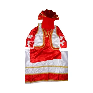 Bhangra Dance Costume / outfit dress- ready to wear