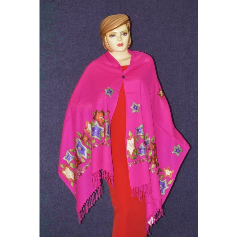 Pure Pashmina Kashmiri multicolor thread embroidered woollen stole C0449