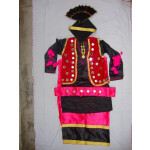 Big Mirrors Work Bhangra Costume dance dress – custom made