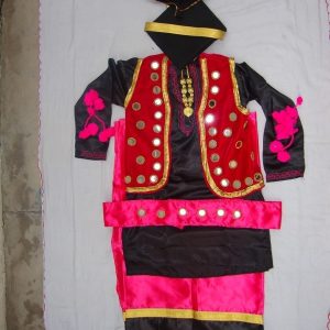 Big Mirrors Work Bhangra Costume dance dress – custom made