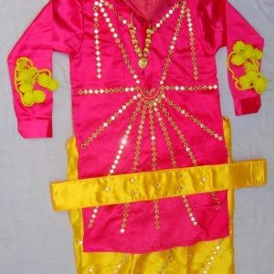 Heavy Mirror Work Bhangra dance costume dress – custom made !!