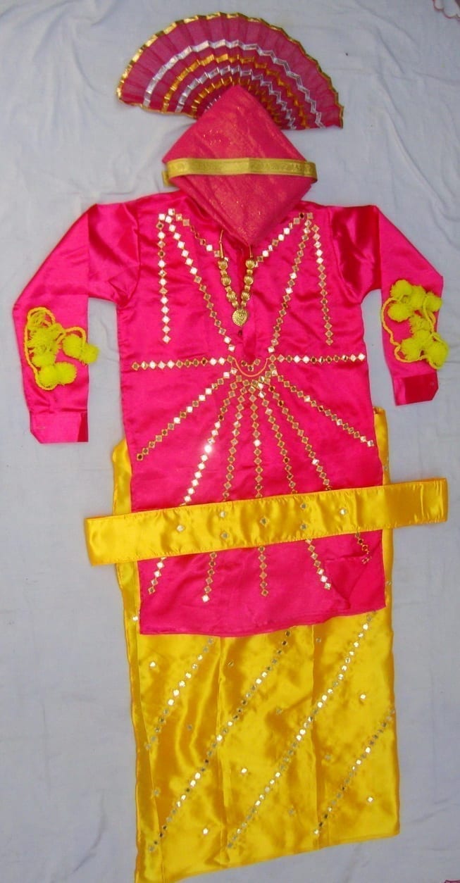 Heavy Mirror Work Bhangra dance costume dress - custom made !! 1