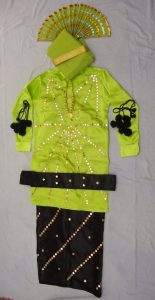 Heavy Mirror Work Bhangra Outfit – Without Vest