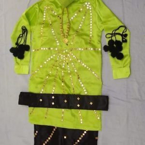 Heavy Mirror Work Bhangra Outfit – Without Vest