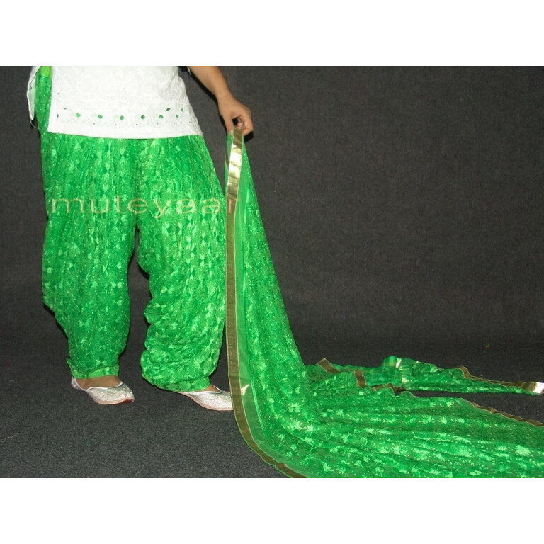 Parrot green PHULKARI Embroidered Patiala Salwar with matching Dupatta PHS18