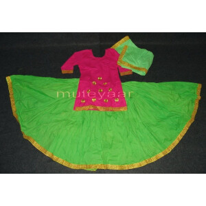 Parrot Magenta custom made GIDDHA  Costume outfit dance dress