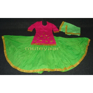 Parrot Magenta custom made GIDDHA  Costume outfit dance dress