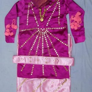 Heavy Mirror Work Bhangra costume without vest