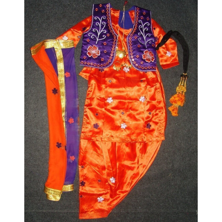 Girl's embroidered Bhangra Costume outfit dance dress - custom made !!