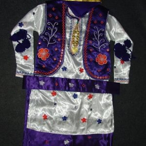 Colorful Bhangra dance Costume / outfit dress for Boys – ready to wear