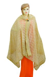 Beige on Beige Shadow Work Georgette Embroidered Dupatta D0950