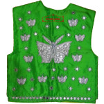 Butterfly Design Embroidered Bhangra Costume Outfit Dance Dress