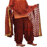Brown Phulkari Patiala Salwar with matching Dupatta PHS05