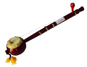 Tumbi / Toombi / Iktara Punjabi Folk Musical Instrument