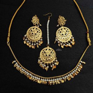 Punjabi Chain Tikka Set J0743